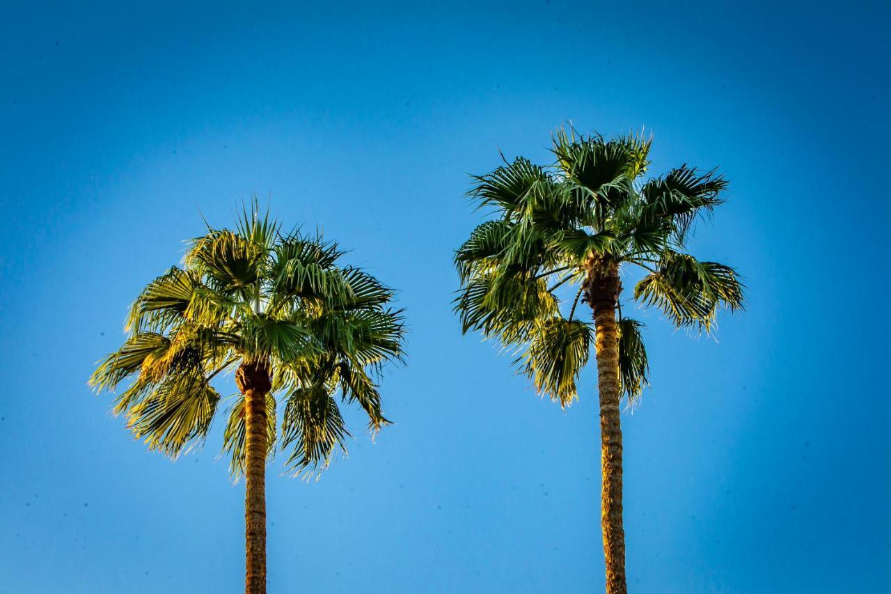 Hotel California Palm Springs Exterior photo